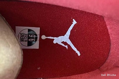 Bright Air GYM 231 553558-611 Low RED GYM Jordan RED-WHITE 1 0811
